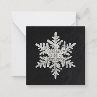 Wilson Bentley's Snowflake Notitiekaartje