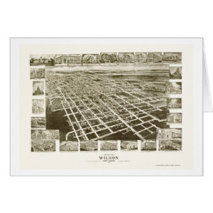 Wilson, carte panoramique d'OR - 1908