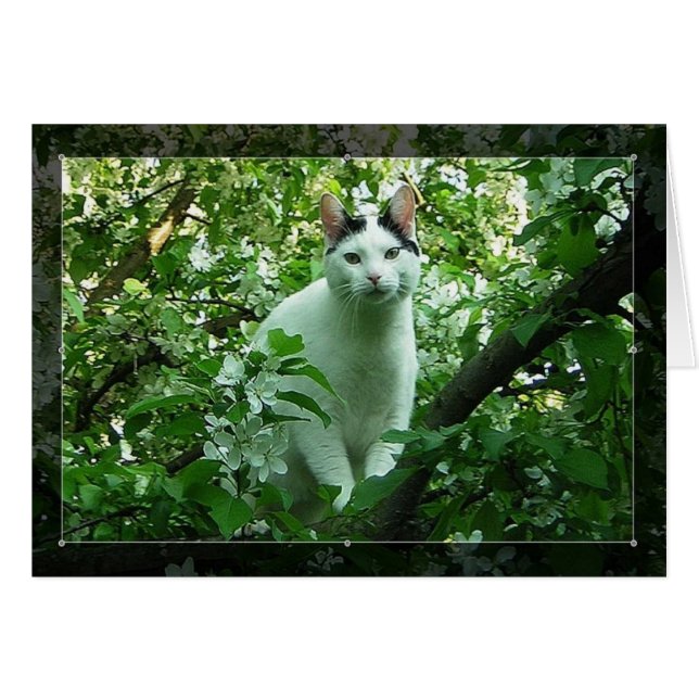 WiLSoN GReeN (Devant horizontal)