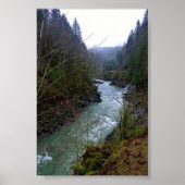 Wilson River, OR Poster (Voorkant)
