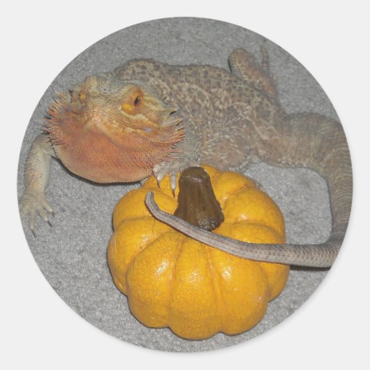 Wilson the Bearded Dragon Ronde Sticker (Voorkant)