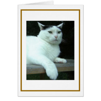 WiLSoN Tweede-denkkaart