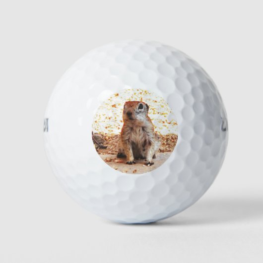 Wilson Ultra "Peanut" Ground Eekhoorn golfballen (Voorkant)