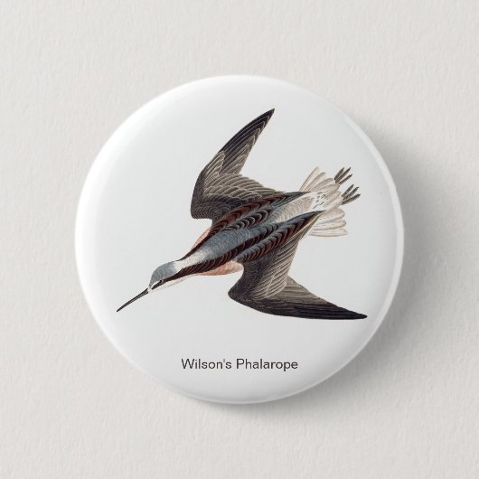 Wilson's Phalarope van John James Audubon, Ronde Button 5,7 Cm (Voorkant)