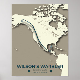 Wilson's Warbler-migratiekaart - minimalistisch Poster