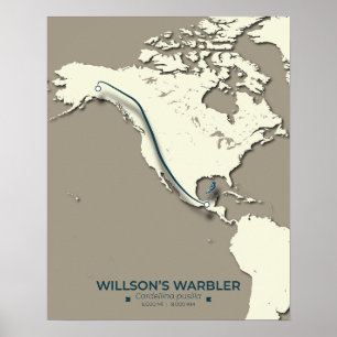 Wilson's Warbler-migratiekaart - minimalistisch Poster