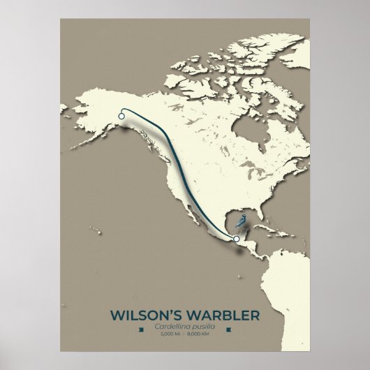 Wilson's Warbler-migratiekaart - minimalistisch Poster (Voorkant)