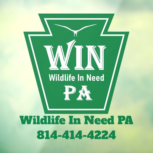 WIN Logo Window Cling Raamsticker (Vel 3)