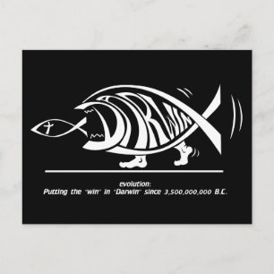 Win winnen in Darwin (door sethness@deviantart) Briefkaart