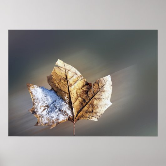 wind en sneeuw poster (Voorkant)