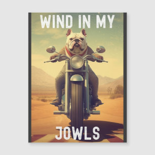 Wind in Mijn Jowls: Een Bulldog die op een motor r