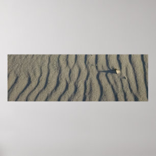 Wind Sculpted strand Sand and Stone, in de duinen. Poster