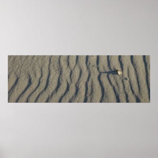 Wind Sculpted strand Sand and Stone, in de duinen. Poster (Voorkant)