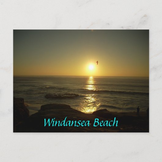 Windansea Beach Briefkaart (Voorkant)