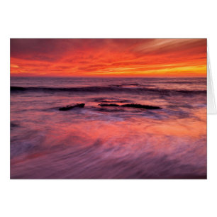 Windansea Beach Rode Zonsondergang