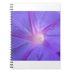 winde notitieboek
