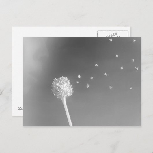 Windenergie Briefkaart (Voorkant / Achterkant)