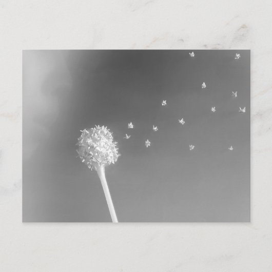 Windenergie Briefkaart (Voorkant)