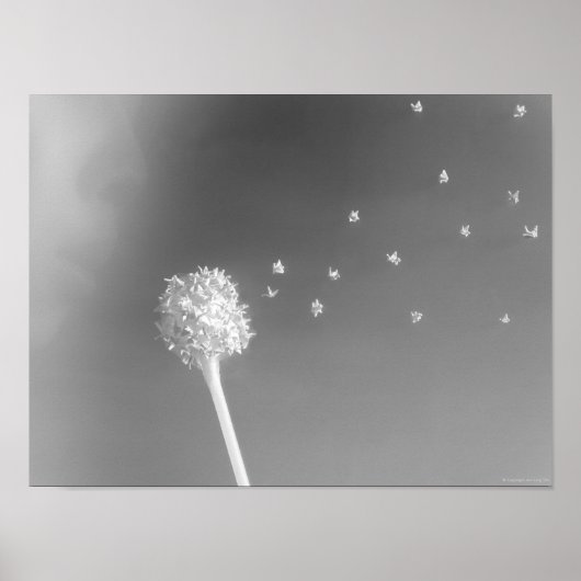 Windenergie Poster (Voorkant)