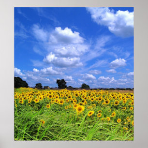 Windenergie, zonnebloemen (AFDRUKKEN) Poster