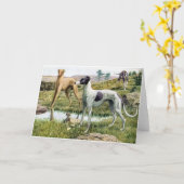 Windhond Kaart (Gele Bloem)