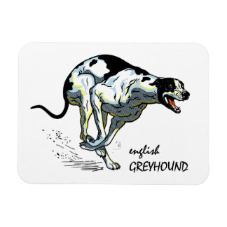 windhond magneet