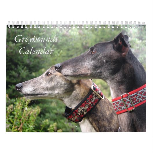windhondenkalender kalender (Hoes)