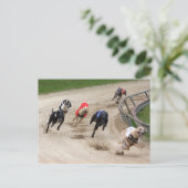 windhondenras briefkaart (Staand voorkant)