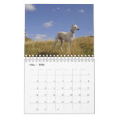 Windhunde Kalender (Mar 2026)