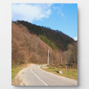 Windingende Weg Door Het Bos – Wilde Natuur Roemen Fotoplaat