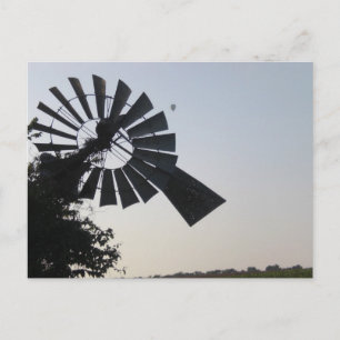 Windmill 2 carte postale