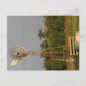 Windmill 3 carte postale (Devant)