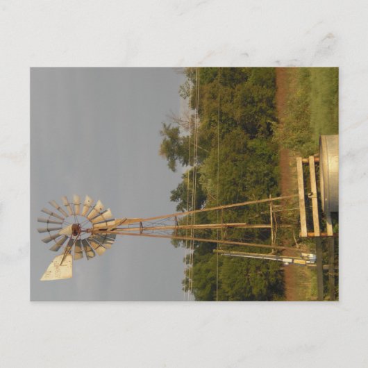 Windmill 3 carte postale (Devant)