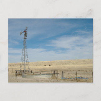 Windmill and cattle under western Kansas Skies Briefkaart