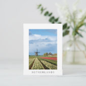 Windmill et tulipes carte postale blanche vertical (Debout devant)