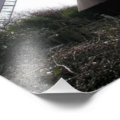 Windmill: Jack & Jill Sussex UK Print / Foto Foto Afdruk (Hoek)