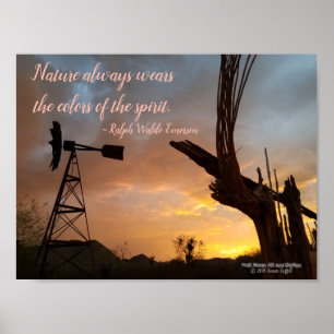 Windmill Saguaro Cactus Skeleton Arizona Sunset Poster
