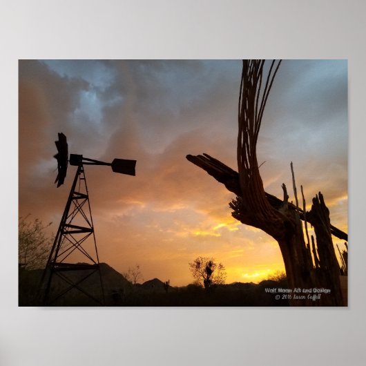 Windmill Saguaro Cactus Skeleton Arizona Sunset Poster (Voorkant)