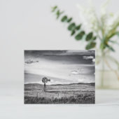Windmill sur la carte postale Plains (Debout devant)