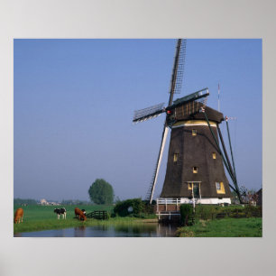 Windmills, Leidschendam, Nederland Poster