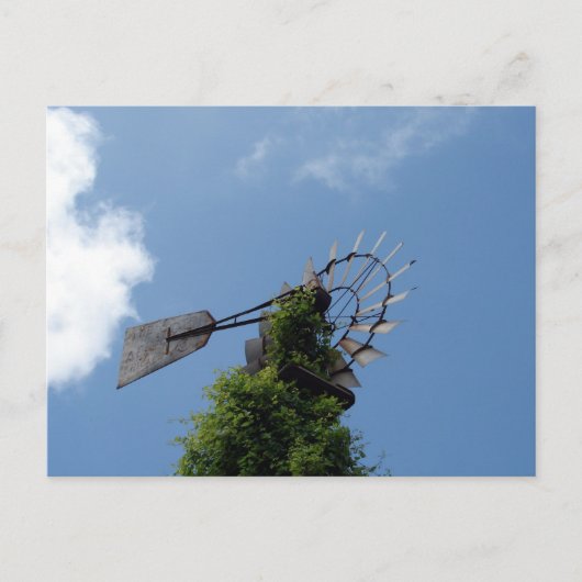 Windmolen Briefkaart (Voorkant)