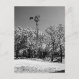 Windmolen Briefkaart