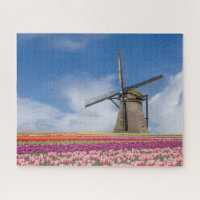Windmolen en kleurrijke Tulpen Amsterdam Nederland