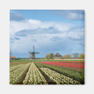 Windmolen en tulips landschapsmagneet magneet