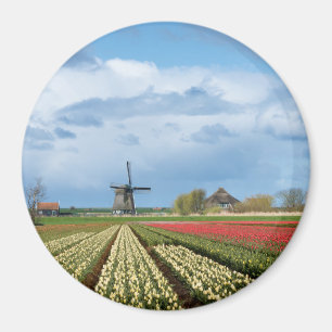 Windmolen en tulpen landschap rond magneet