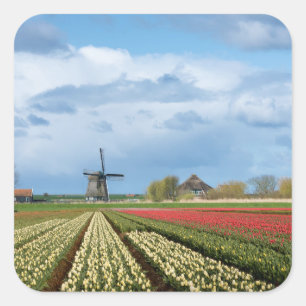 Windmolen en tulpen landschap sticker