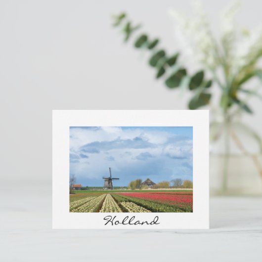 Windmolen en tulpen, landschap, wit briefkaart (Staand voorkant)