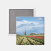 Windmolen en tulpen landschapsmagneet magneet (Voorkant / Achterkant)