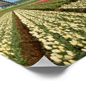 Windmolen en tulpen verticaal poster (Hoek)