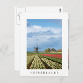 Windmolen en tulpen verticaal wit briefkaart (Voorkant / Achterkant)